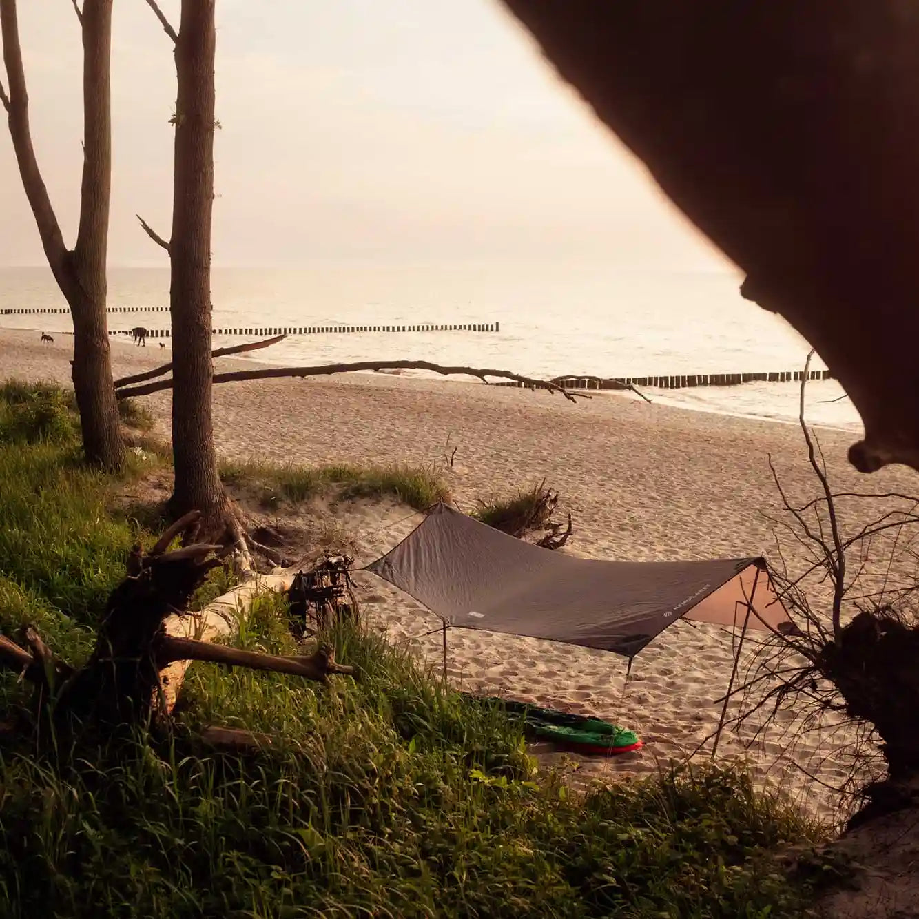 stemningsbilde heimplanet tarp