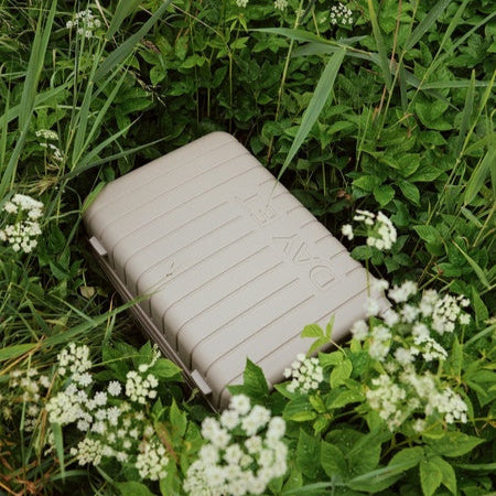 Day tonal kabinekuffert i græs