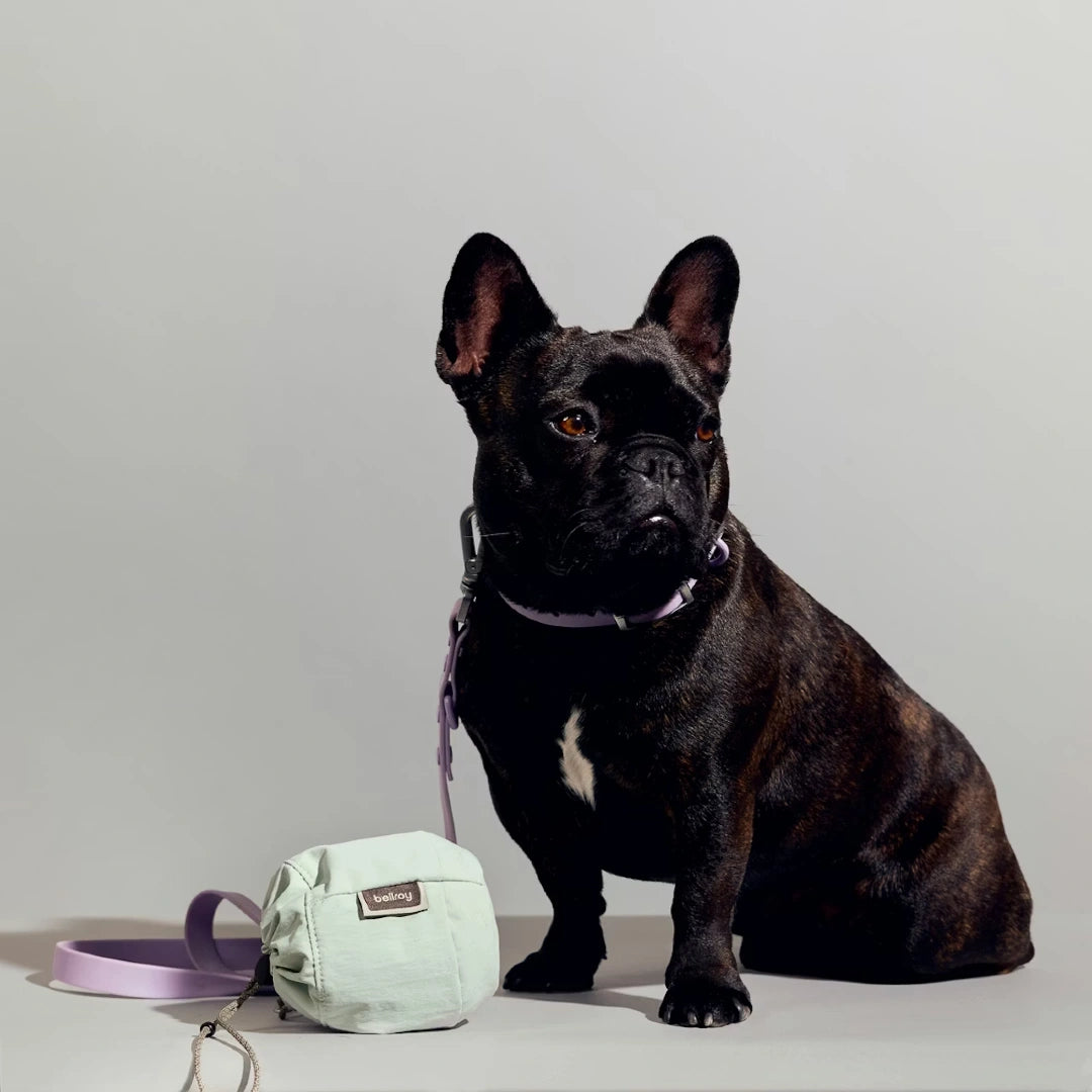 Bellroy Cinch Pouch med lille bulldog